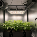 ¿Cuánto consume un foco LED de cultivo? Calculadora de gasto eléctrico y consejos para ahorrar en interior